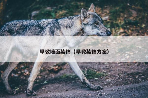 早教墙面装饰（早教装饰方案）