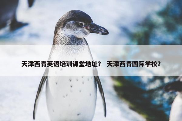 天津西青英语培训课堂地址？ 天津西青国际学校？