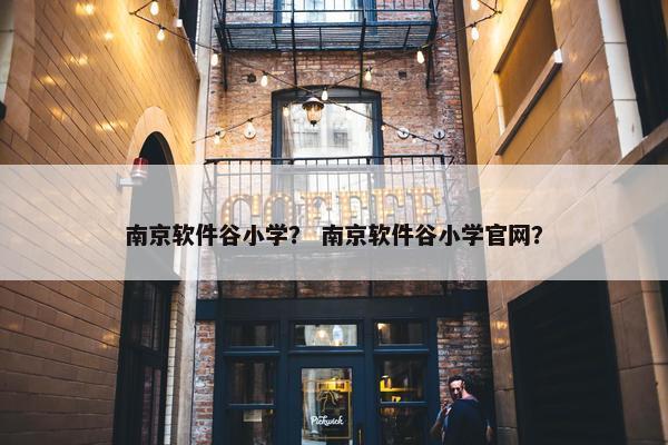 南京软件谷小学？ 南京软件谷小学官网？