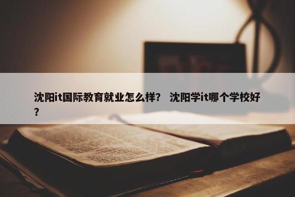 沈阳it国际教育就业怎么样？ 沈阳学it哪个学校好？