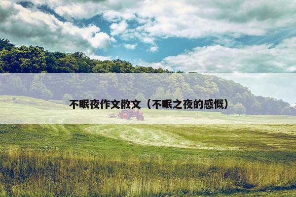 不眠夜作文散文（不眠之夜的感慨）