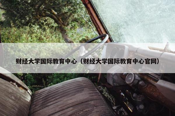 财经大学国际教育中心（财经大学国际教育中心官网）