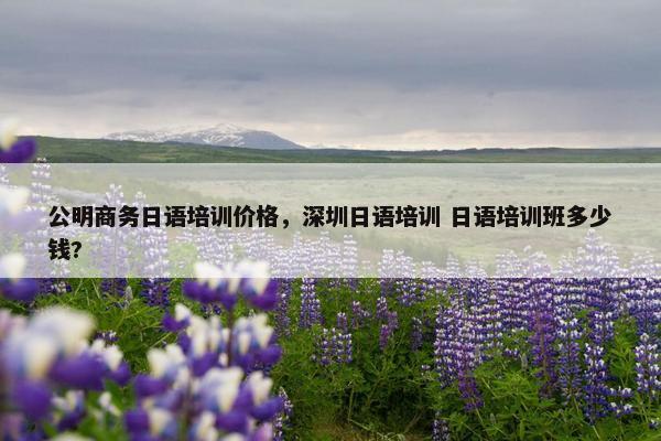 公明商务日语培训价格，深圳日语培训 日语培训班多少钱?