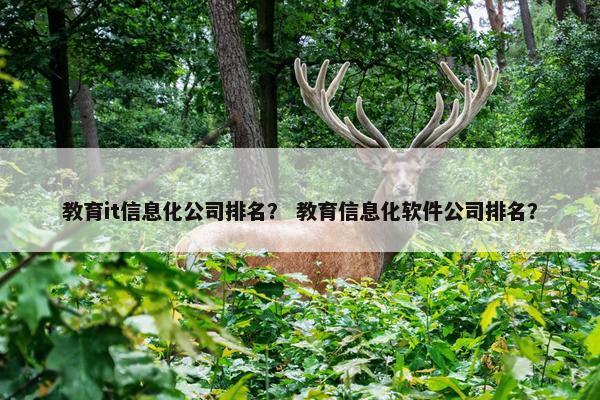 教育it信息化公司排名？ 教育信息化软件公司排名？