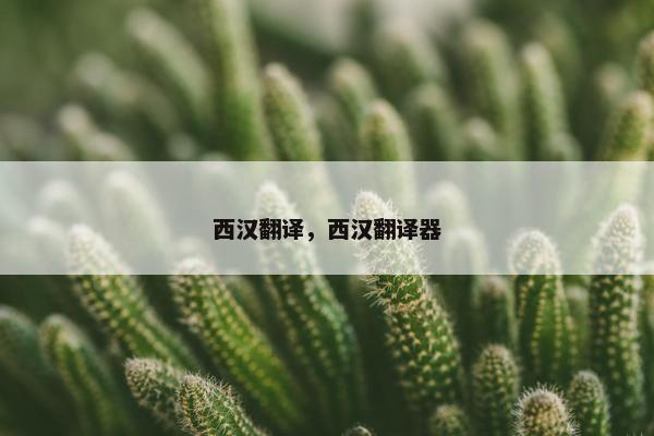 西汉翻译，西汉翻译器