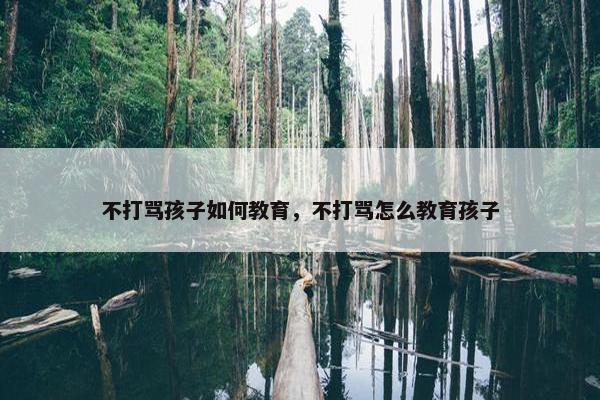 不打骂孩子如何教育，不打骂怎么教育孩子