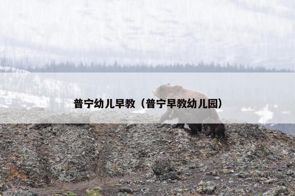 普宁幼儿早教（普宁早教幼儿园）