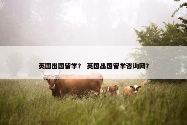 英国出国留学？ 英国出国留学咨询网？