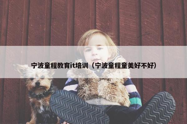 宁波童程教育it培训（宁波童程童美好不好）