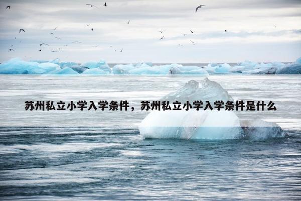 苏州私立小学入学条件，苏州私立小学入学条件是什么