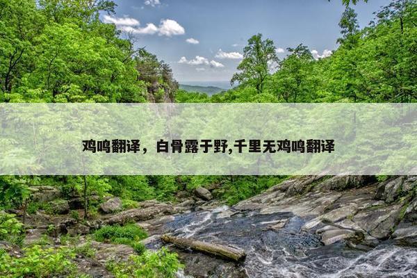鸡鸣翻译，白骨露于野,千里无鸡鸣翻译