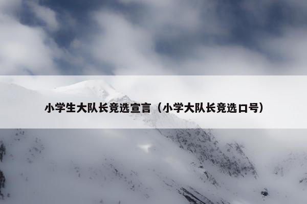 小学生大队长竞选宣言（小学大队长竞选口号）