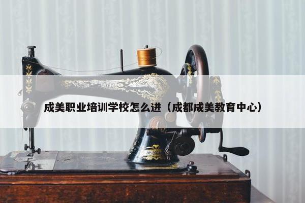 成美职业培训学校怎么进（成都成美教育中心）