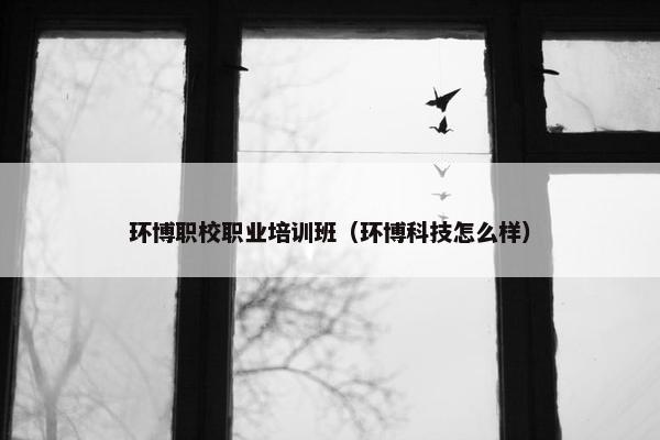 环博职校职业培训班（环博科技怎么样）