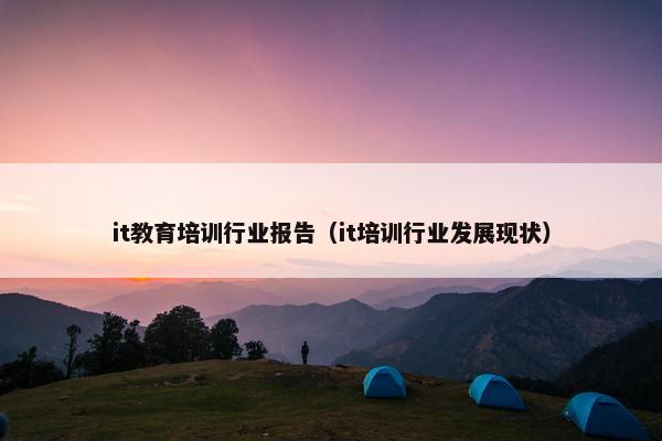it教育培训行业报告（it培训行业发展现状）