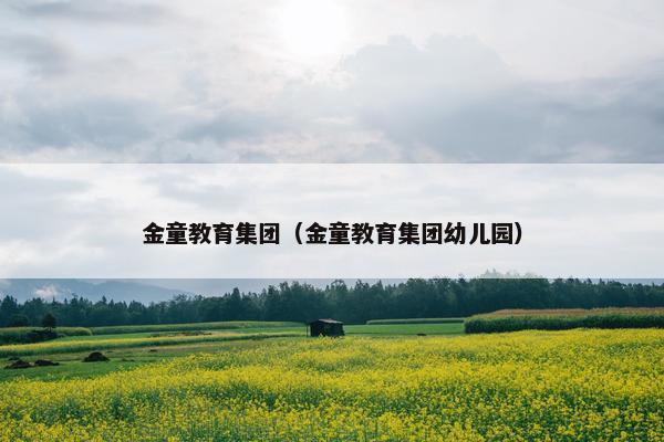 金童教育集团（金童教育集团幼儿园）