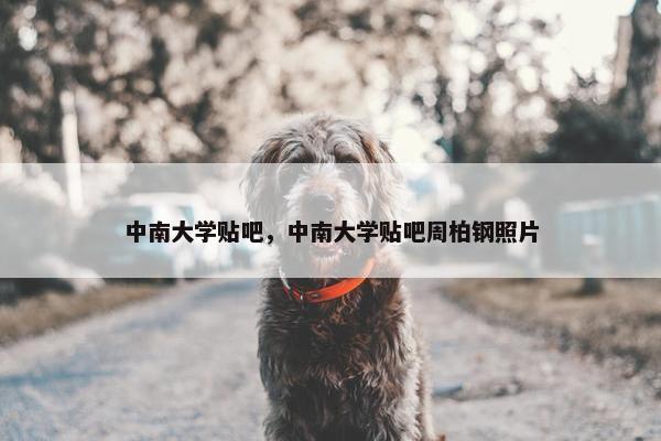 中南大学贴吧，中南大学贴吧周柏钢照片