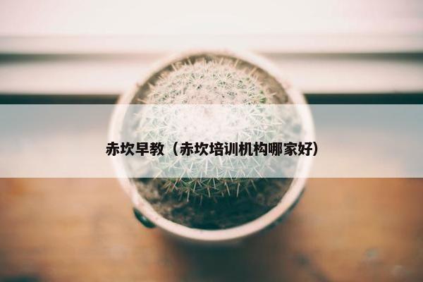 赤坎早教（赤坎培训机构哪家好）