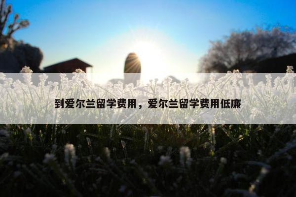 到爱尔兰留学费用，爱尔兰留学费用低廉