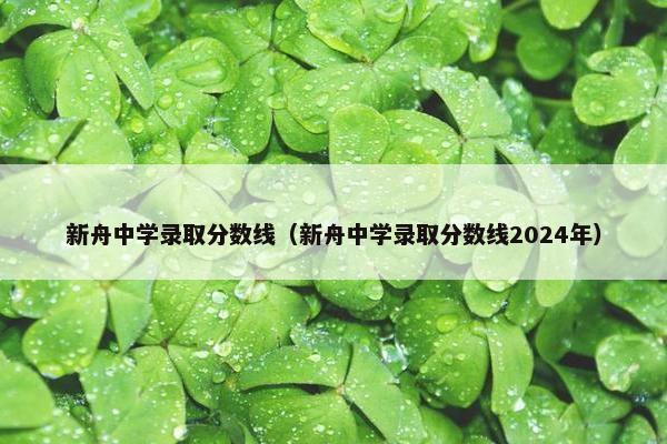 新舟中学录取分数线（新舟中学录取分数线2024年）