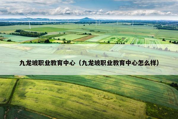 九龙坡职业教育中心（九龙坡职业教育中心怎么样）