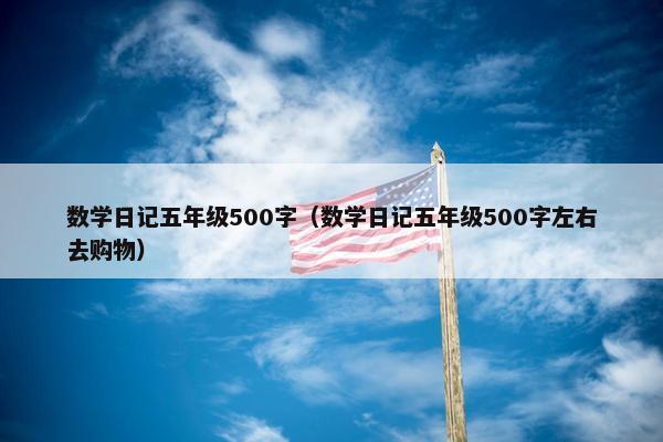 数学日记五年级500字（数学日记五年级500字左右去购物）
