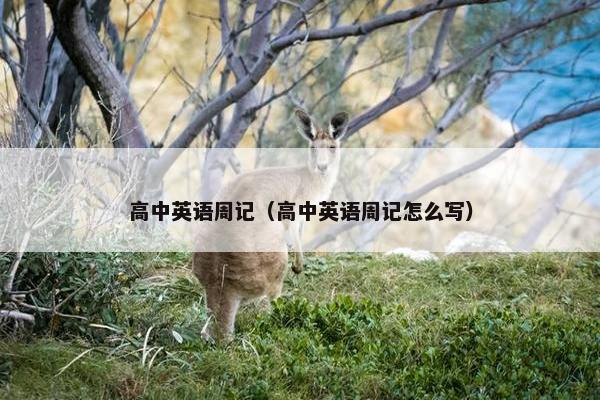 高中英语周记（高中英语周记怎么写）