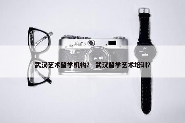 武汉艺术留学机构？ 武汉留学艺术培训？