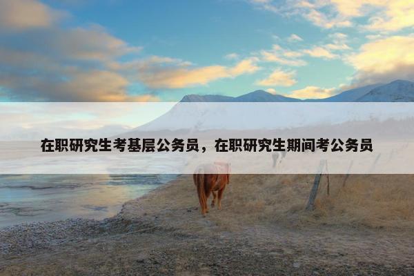 在职研究生考基层公务员，在职研究生期间考公务员