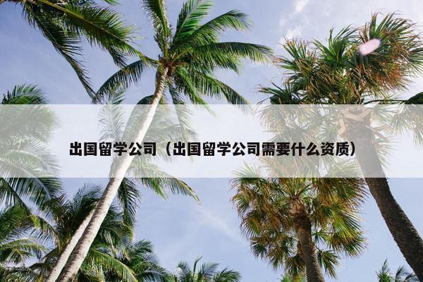 出国留学公司（出国留学公司需要什么资质）