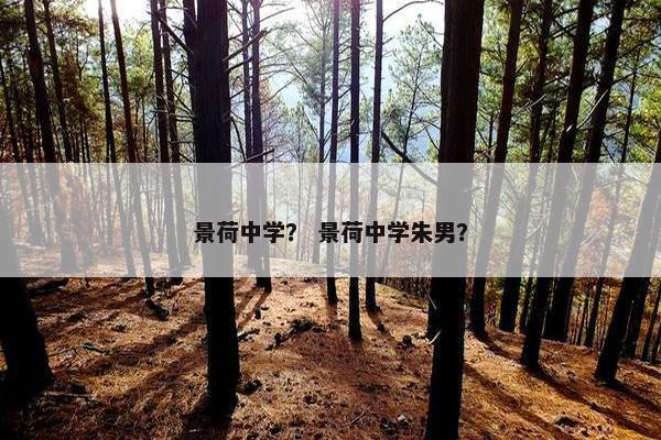 景荷中学？ 景荷中学朱男？