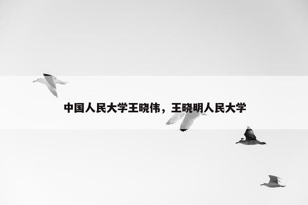中国人民大学王晓伟，王晓明人民大学