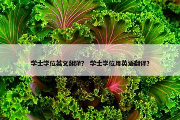 学士学位英文翻译？ 学士学位用英语翻译？
