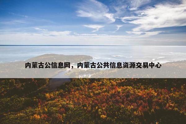 内蒙古公信息网，内蒙古公共信息资源交易中心
