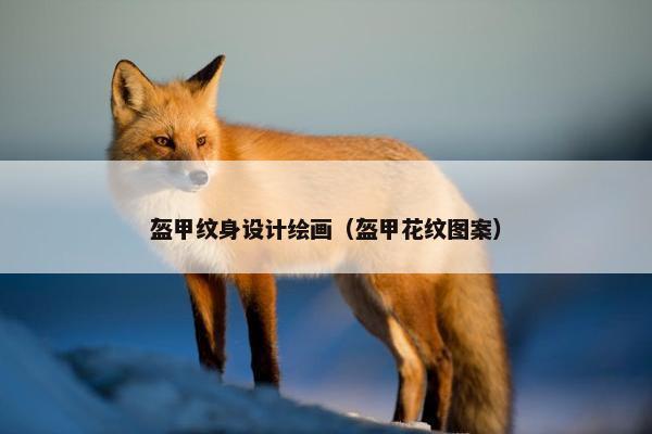 盔甲纹身设计绘画（盔甲花纹图案）