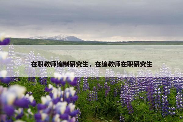 在职教师编制研究生，在编教师在职研究生