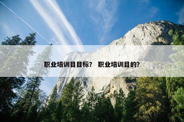 职业培训目目标？ 职业培训目的？