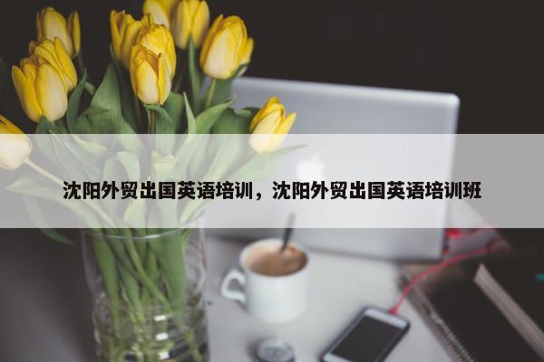 沈阳外贸出国英语培训，沈阳外贸出国英语培训班