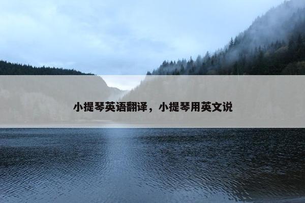 小提琴英语翻译，小提琴用英文说