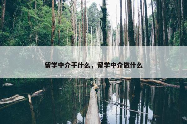 留学中介干什么，留学中介做什么