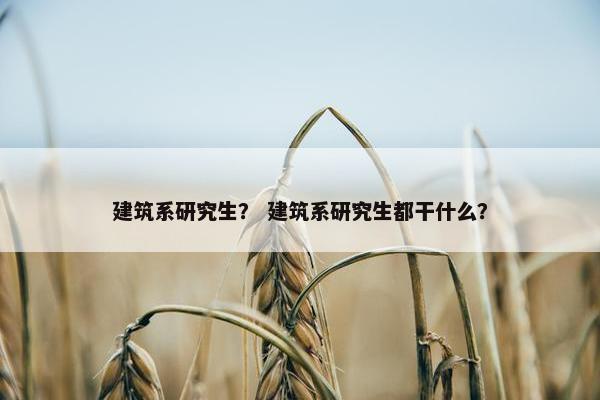 建筑系研究生？ 建筑系研究生都干什么？