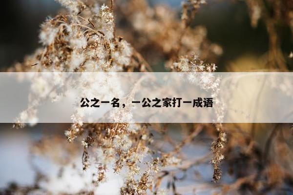 公之一名，一公之家打一成语