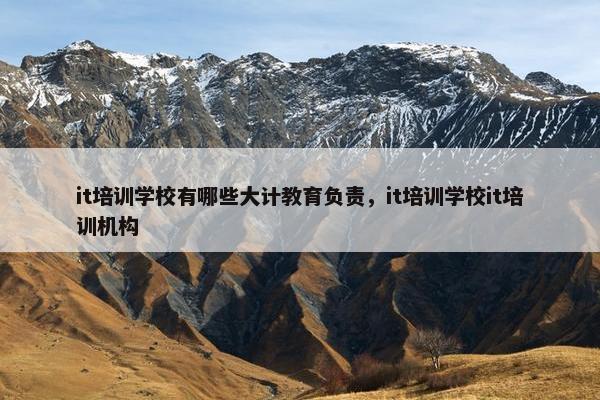 it培训学校有哪些大计教育负责，it培训学校it培训机构