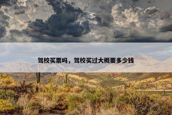 驾校买票吗，驾校买过大概要多少钱