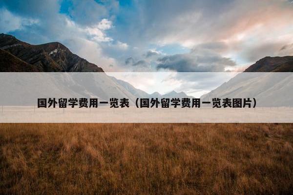 国外留学费用一览表（国外留学费用一览表图片）