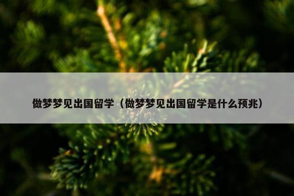 做梦梦见出国留学（做梦梦见出国留学是什么预兆）