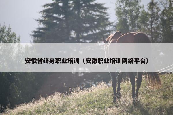 安徽省终身职业培训（安徽职业培训网络平台）