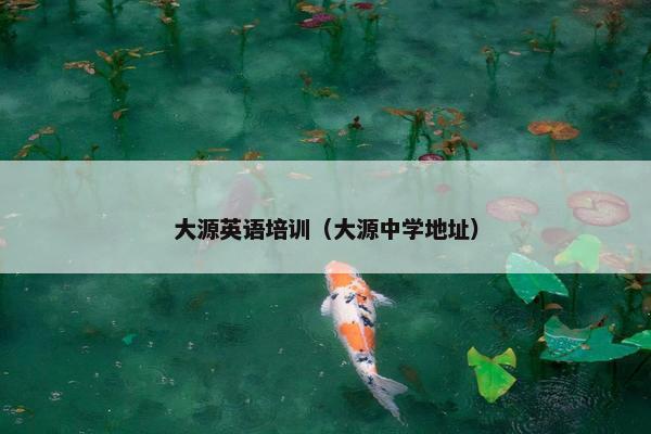 大源英语培训（大源中学地址）