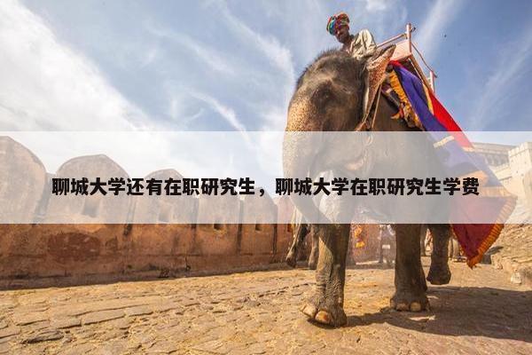 聊城大学还有在职研究生，聊城大学在职研究生学费