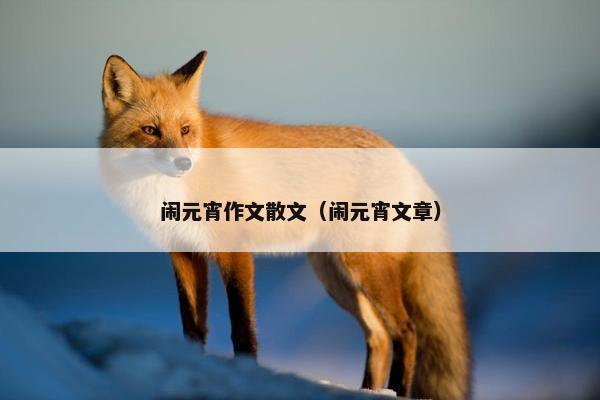 闹元宵作文散文（闹元宵文章）